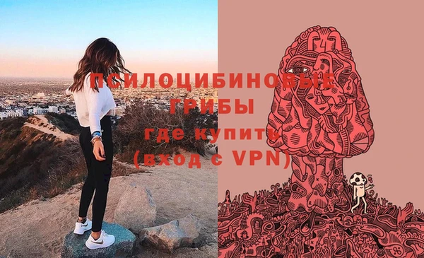 apvp Беломорск