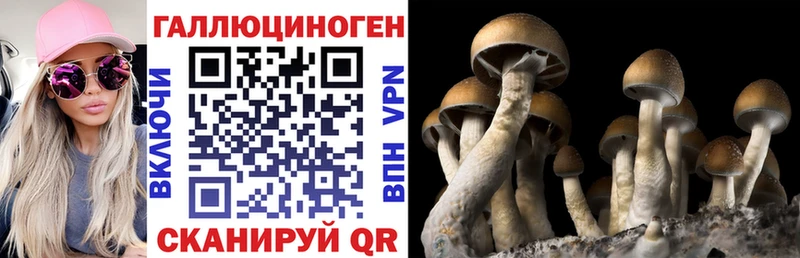 Псилоцибиновые грибы GOLDEN TEACHER Дагестанские Огни